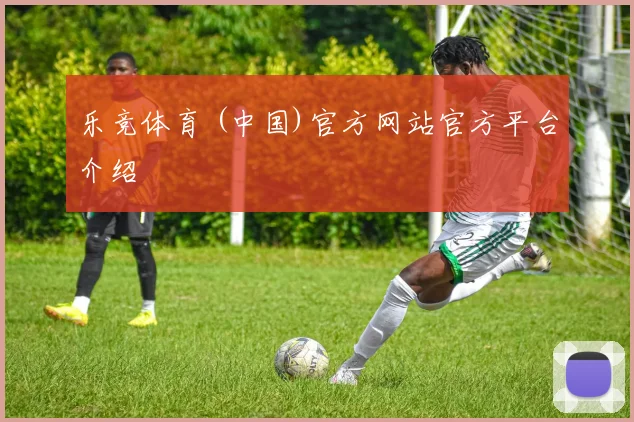 乐竞体育 (中国)官方网站官方平台介绍