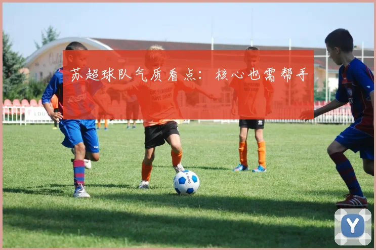 苏超球队气质看点：核心也需帮手